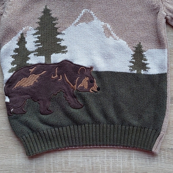 Gymboree bear 🐻 sweater 5-6 years - Picture 3 of 16
